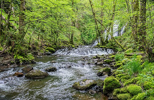 Cascade de la Roche