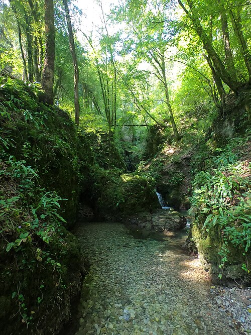 1a cascata