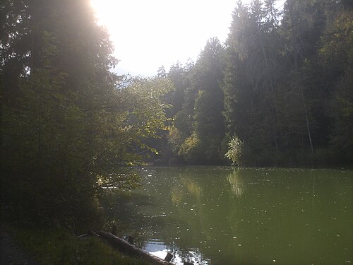 Foto von Starkenberger See