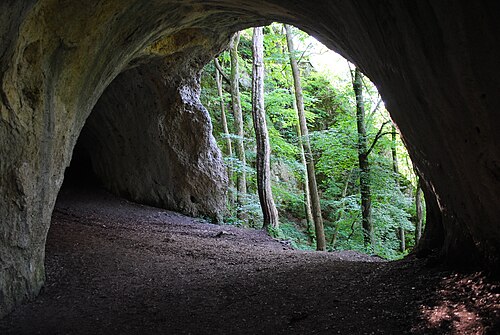 Große Scheuer
