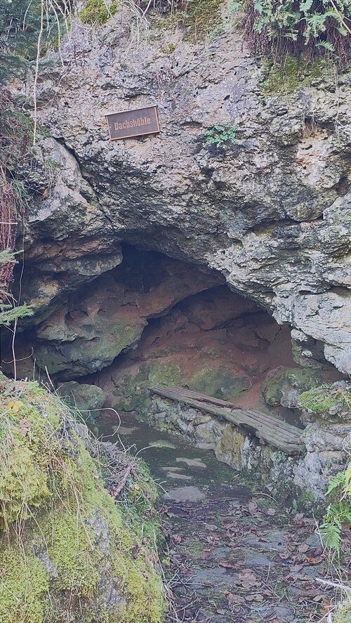 Dachshöhle