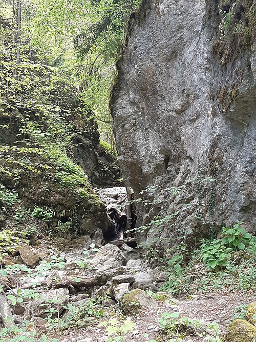 Örflaschlucht