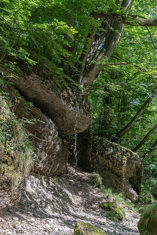Erlaufschlucht