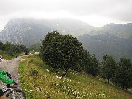 Photo of Bocca di Navene