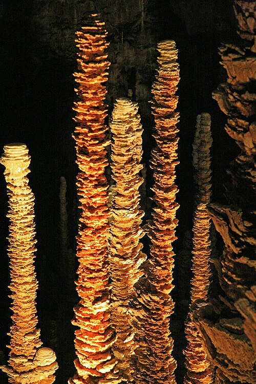 Foto von Aven Armand (entrée artificielle)