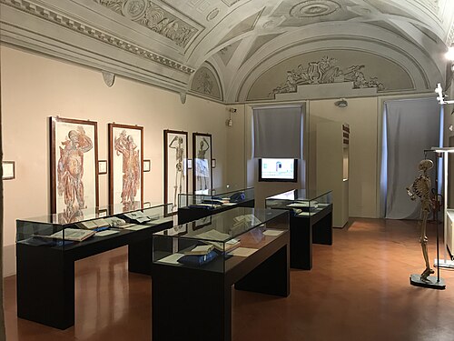 Museo della Grafica