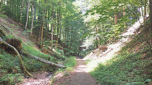 Rohrdorfer Tobel