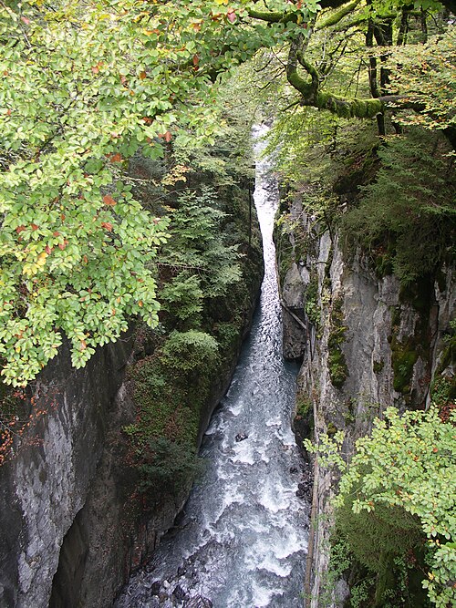 Gorges des Tines