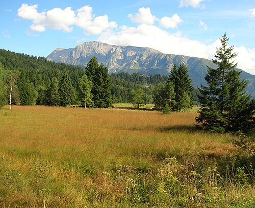 Col Luitel
