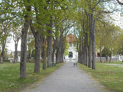 Park bei Bad Deutsch-Altenburg