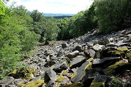 Nationalpark Hunsrück-Hochwald