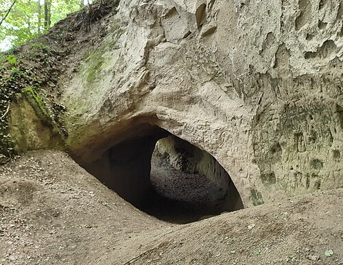 Trasshöhle