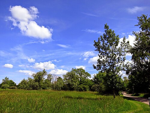 Bürgerpark Nord