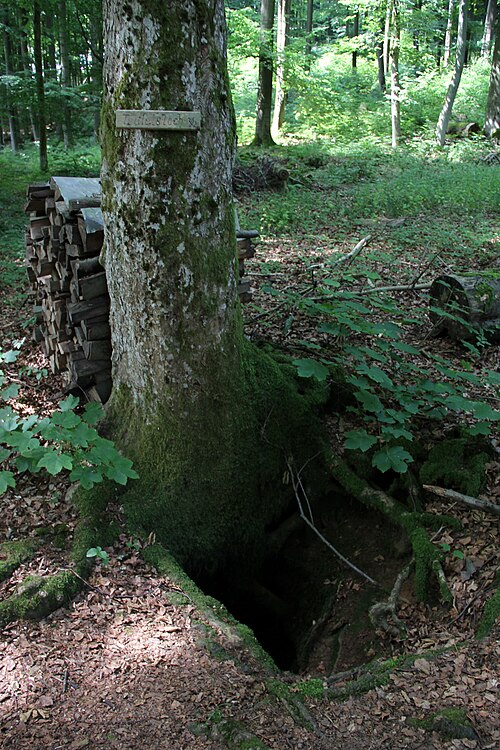 Teufelsloch (Hansgörglschacht)