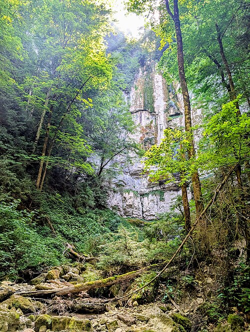 Cascade de la Gerlette