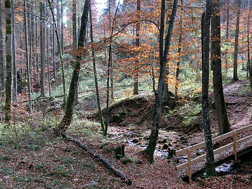 Rohrbachtobel