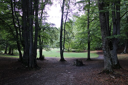 Photo of Bosco di Sant'Antonio