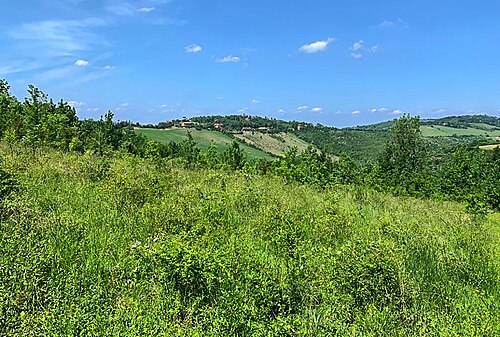 Parco Cavaioni