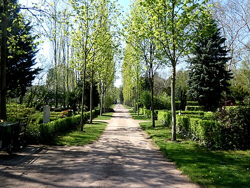 Gertraudenfriedhof