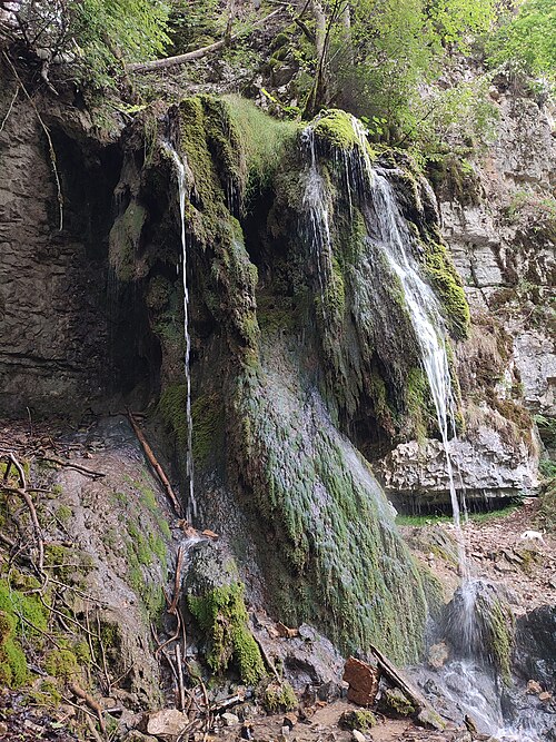 Tannegger Wasserfall