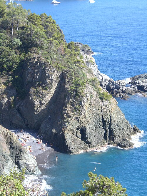 Portopidocchio