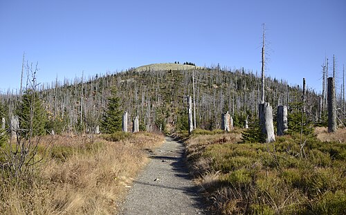 Nationalpark Bayerischer Wald