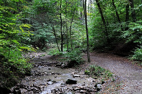 Hagenbachklamm