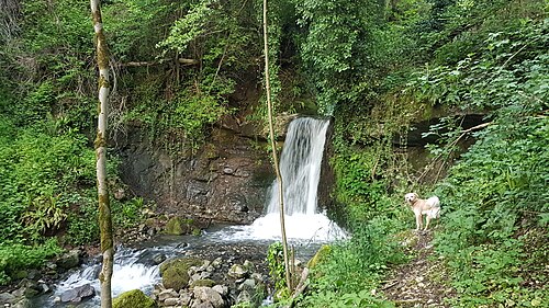 Cascata vicino a Alvese