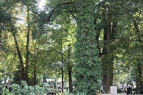 Leonhards-Friedhof