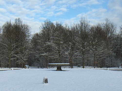 Foto von Forêt de Chantilly