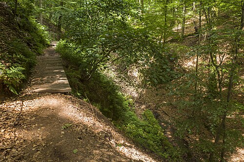 Landgrafenschlucht