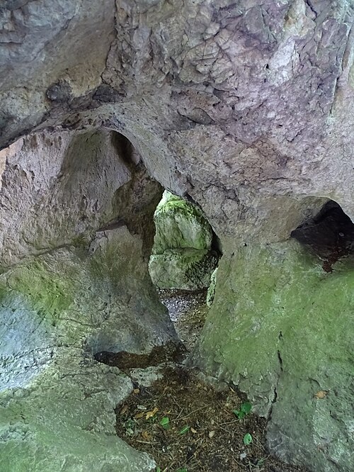 Steintor