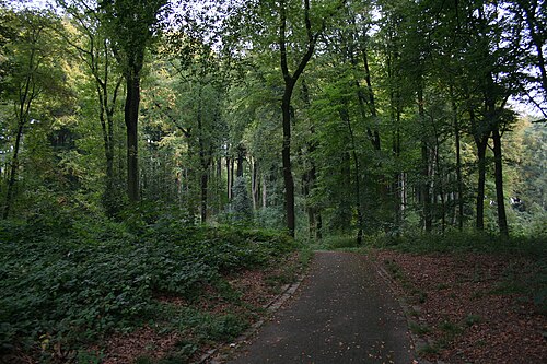 Volksgarten Lütgendortmund