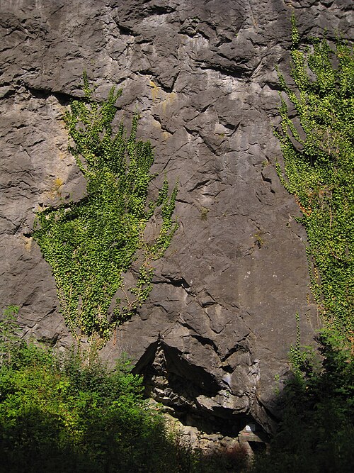Alte Höhle