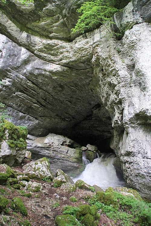 Source du Pontet