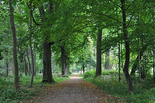 Mönchpark