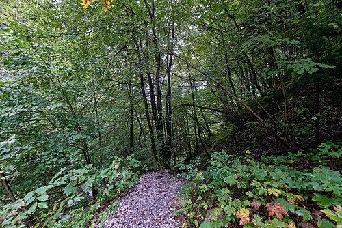 Mühlauer Klamm