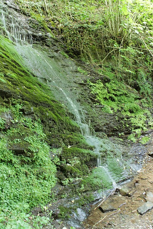 Dortebach Wasserfall