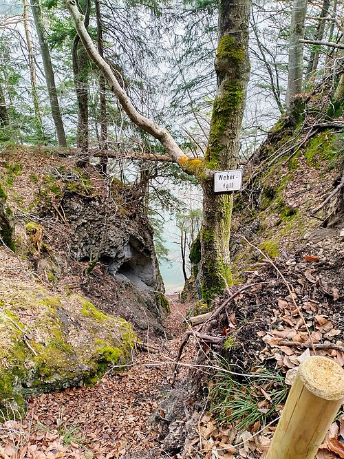 Weberfall