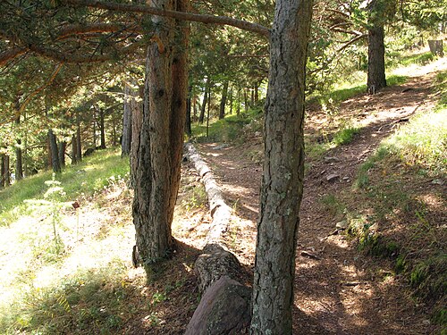 Foto von Arboretum Marcel Kroenlein