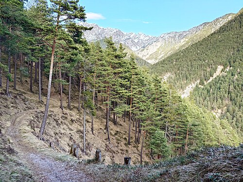 Schlossbachklamm