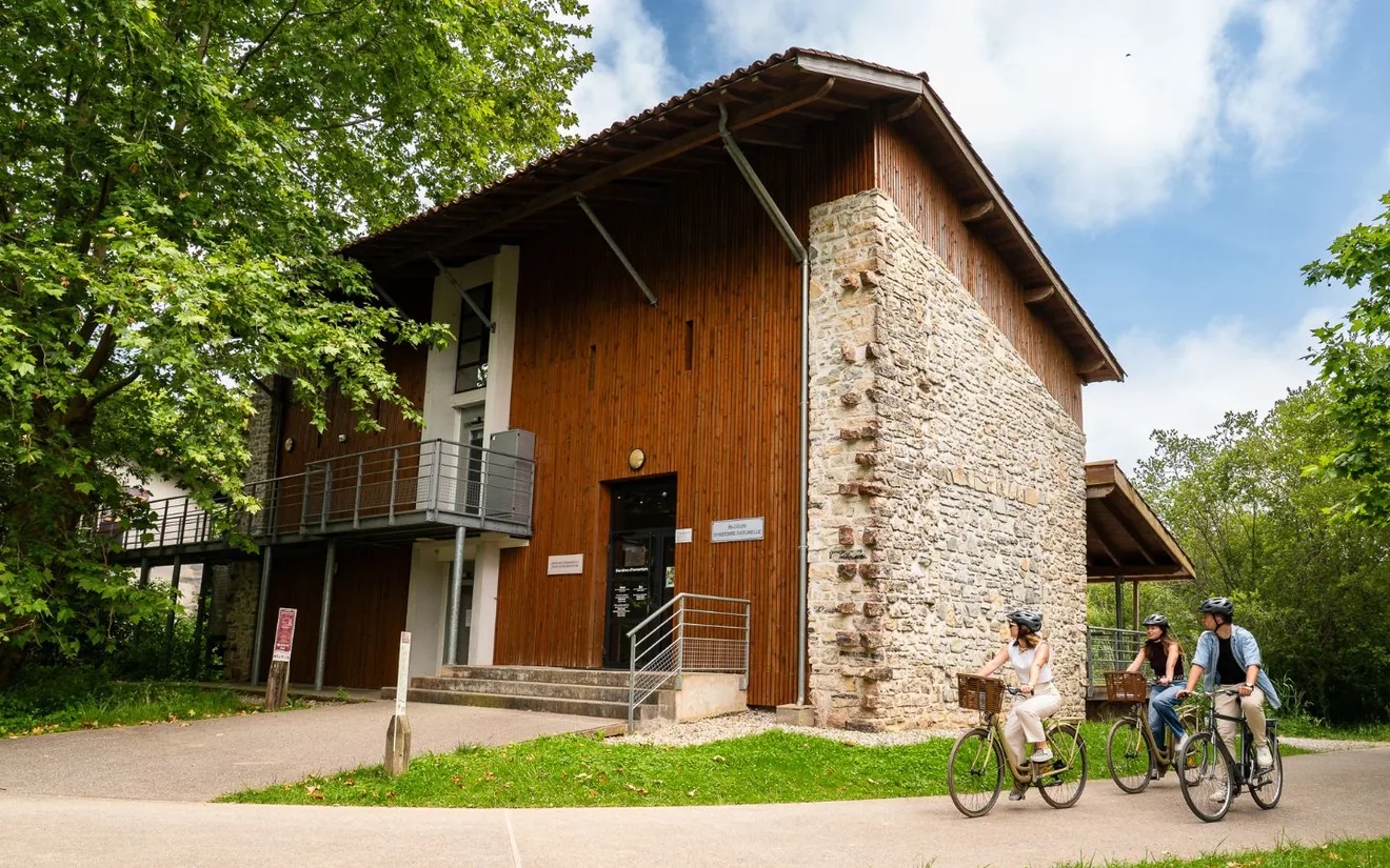 Museum d'Histoire Naturelle