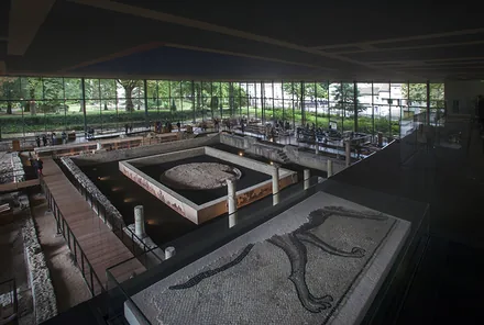 Musée Vesunna