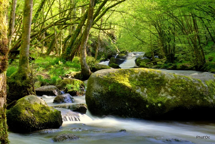 Le Saut Du Chalard