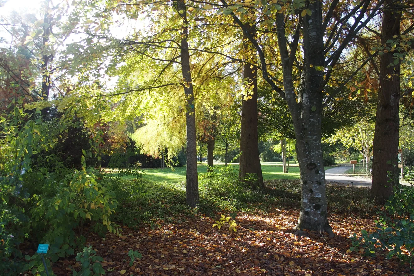 Parc du moulin à Tan