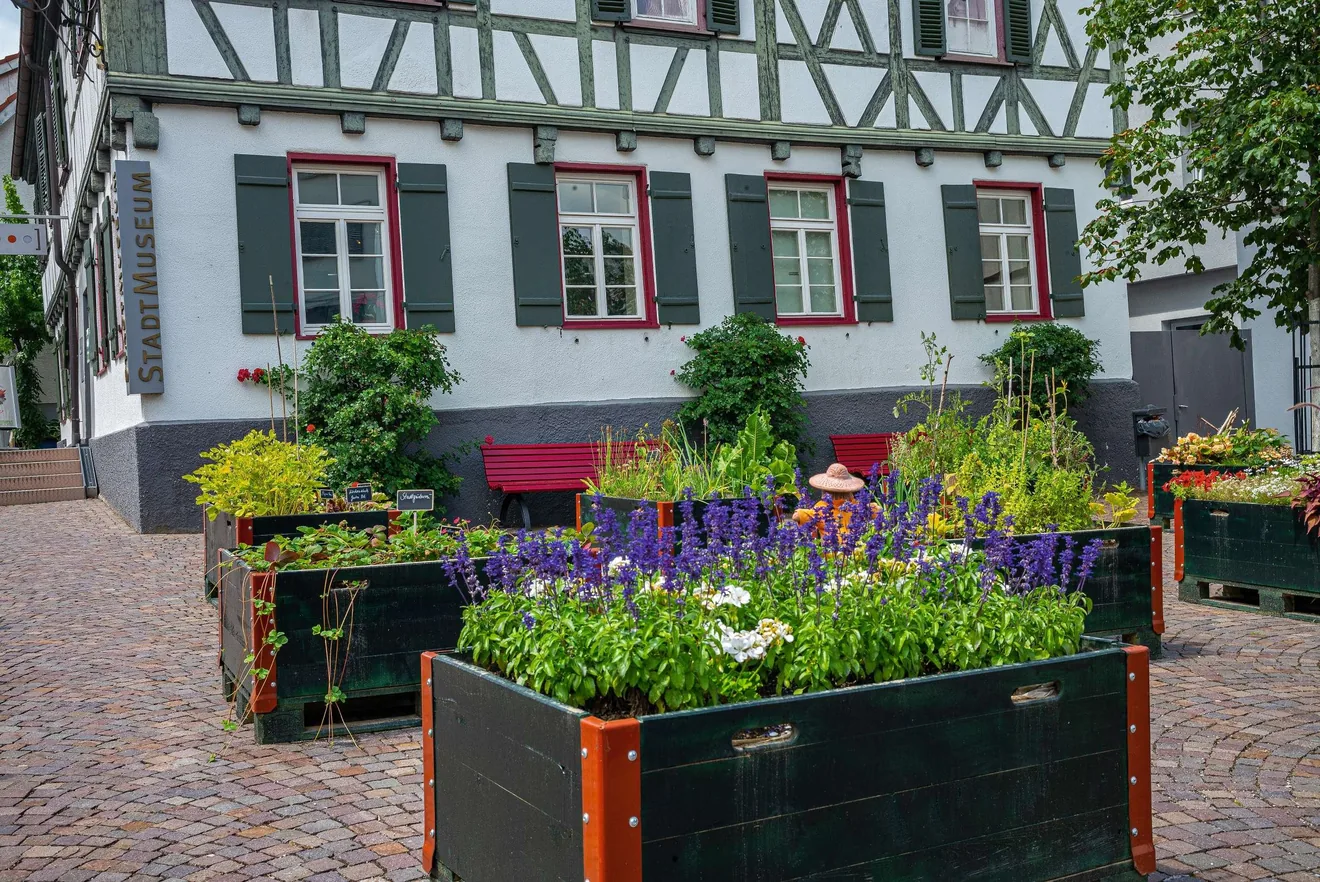 Stadtmuseum