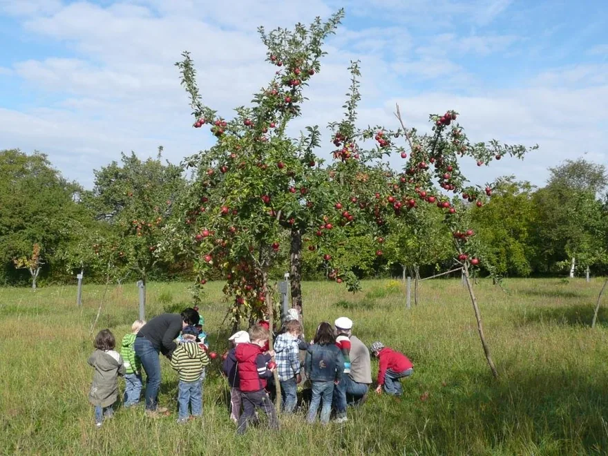 Streuobstmuseum