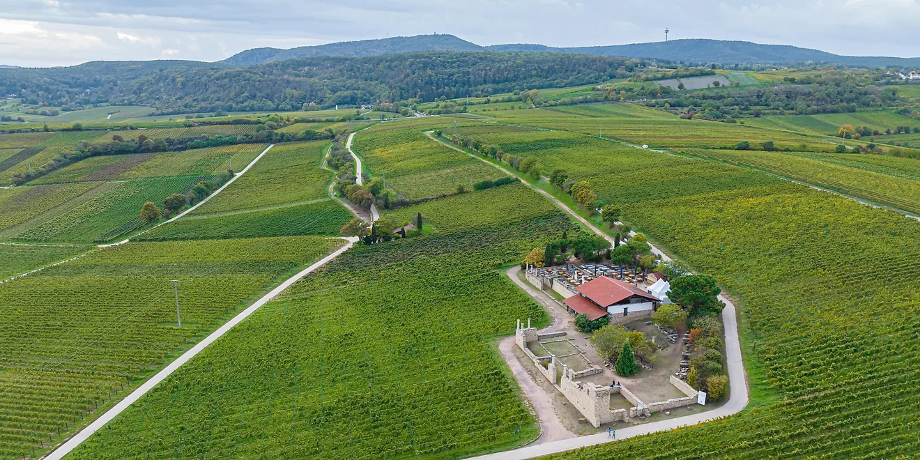 Römisches Weingut Weilberg