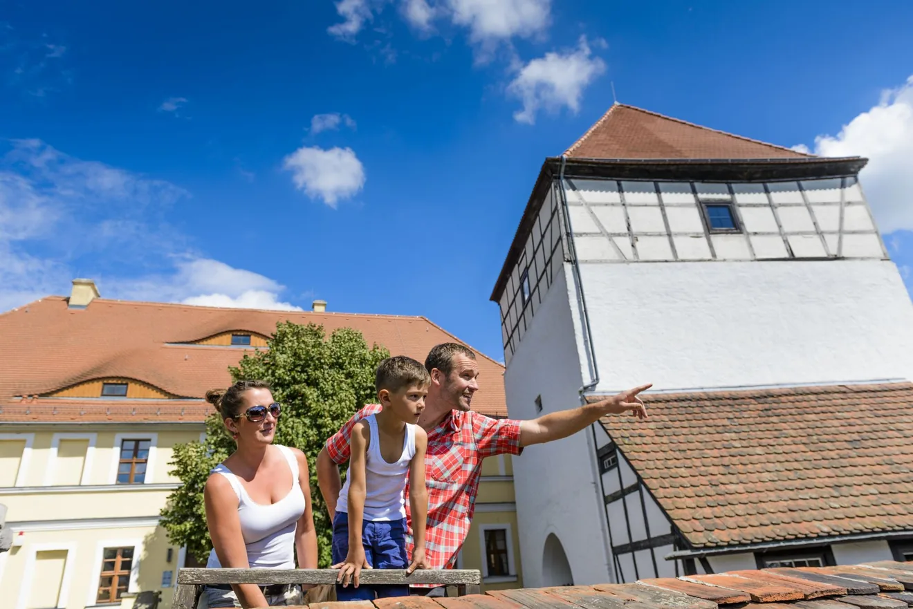 Landschaftsmuseum Dübener Heide