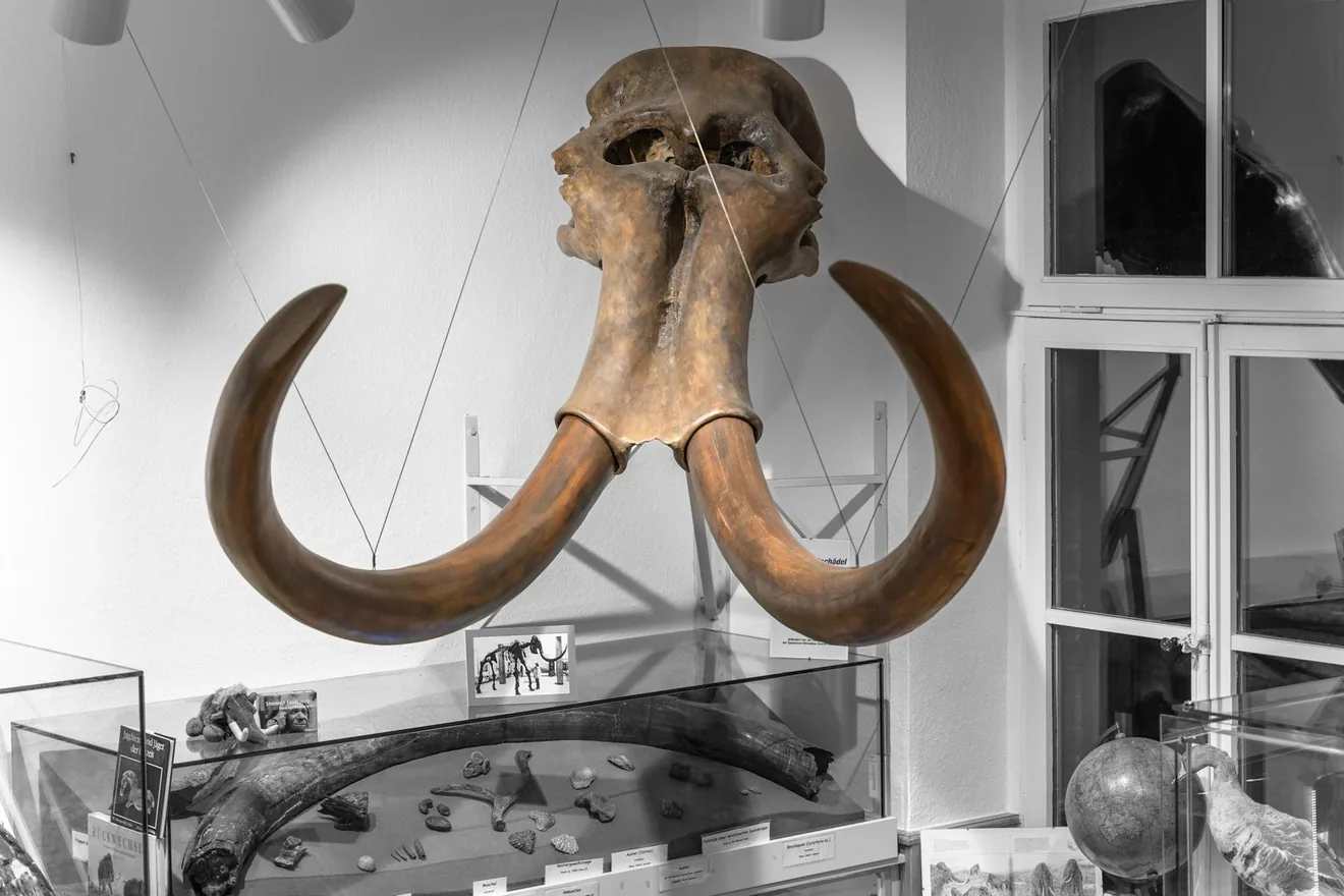 Heimatmuseum Hünxe